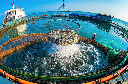 >顺祥食品小龙虾淡水鱼养殖加工用水